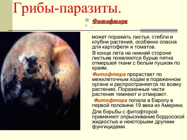 Как успокоить зуб с острой болью